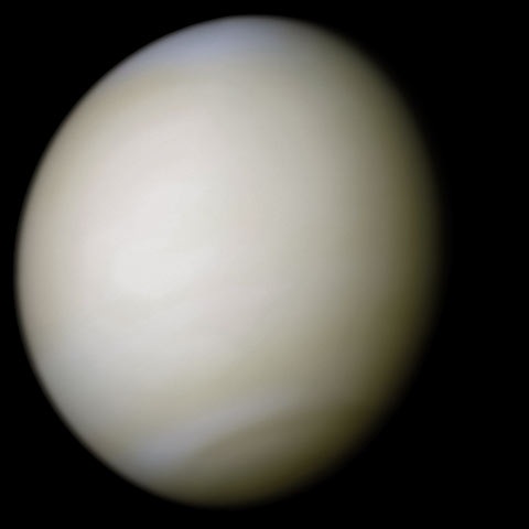 Close-up image of Venus showing its bright cloud-covered disk.